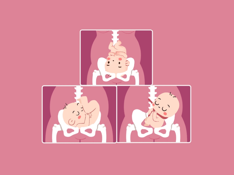 640 (1).gif
