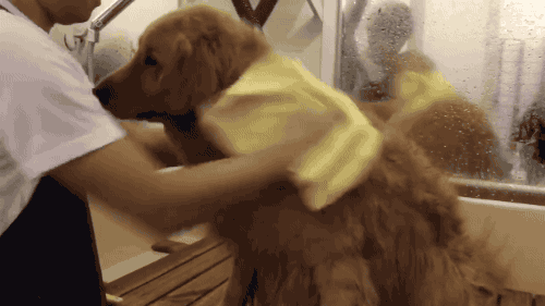 640 (10).gif